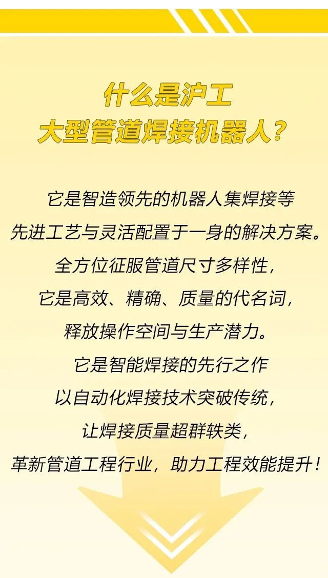 上海；；；g真人国际