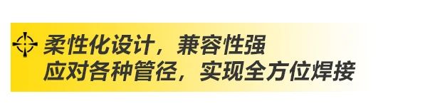 上海；；；g真人国际